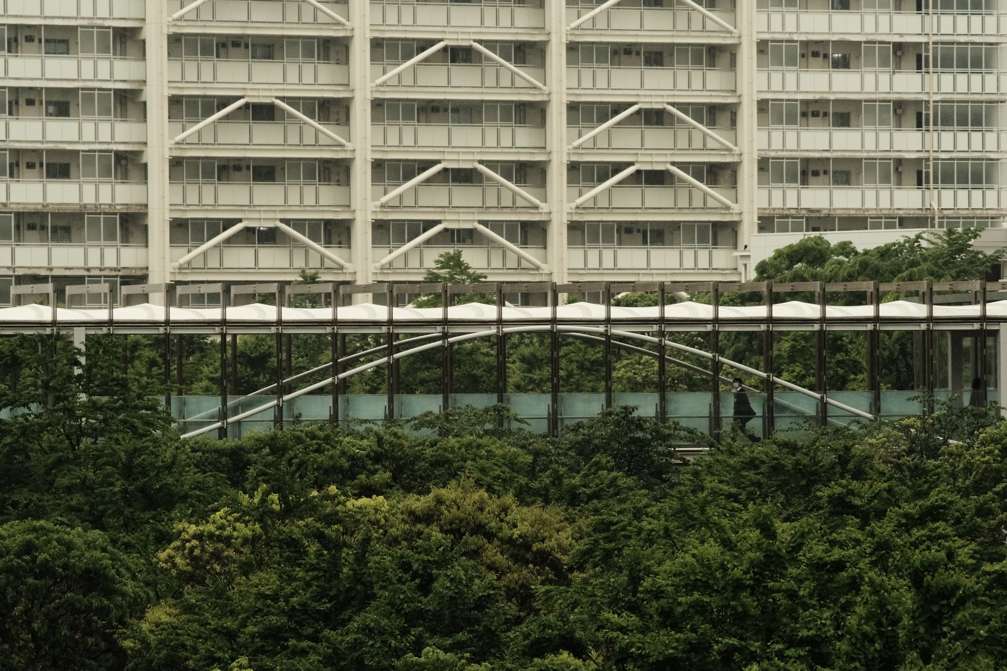 Foot bridge above trees in Shinagawa, Tokyo