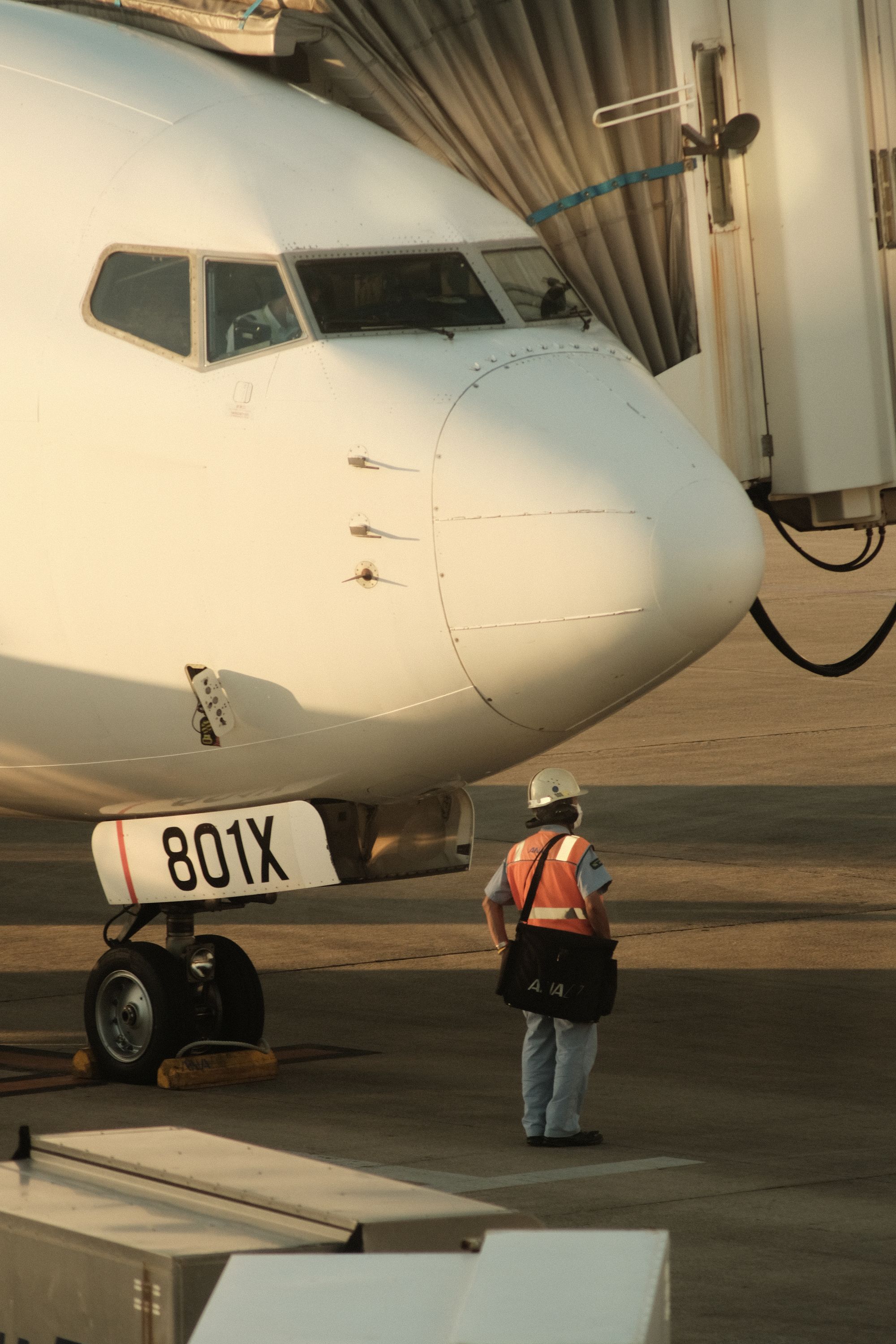 airport staff in front of airplane on the tarmac, golden hour