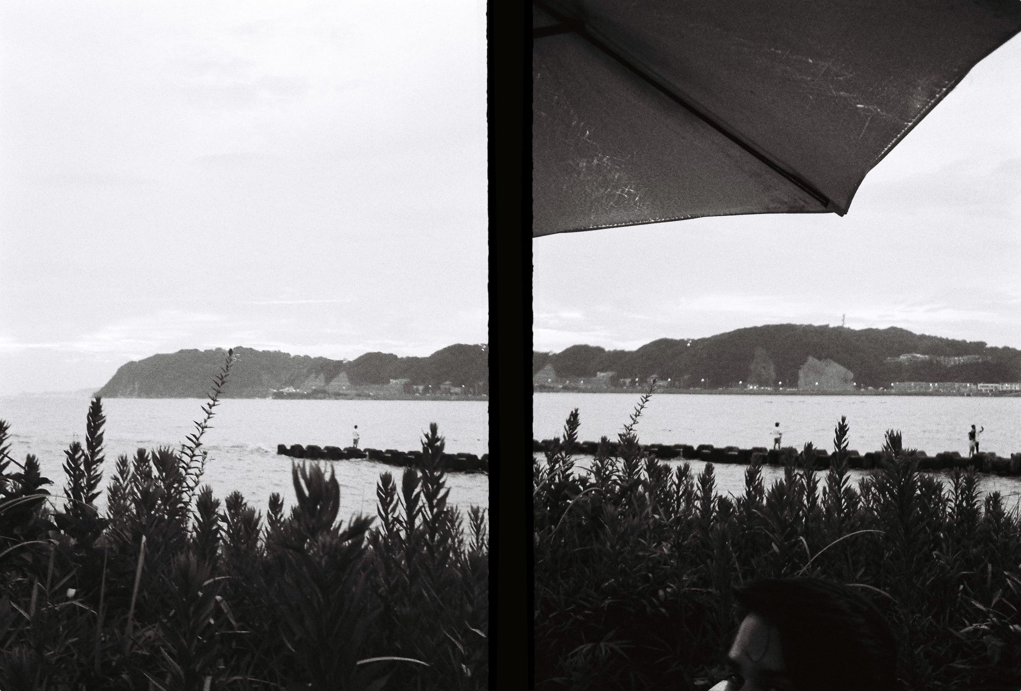 view from a terrace in Zushi 