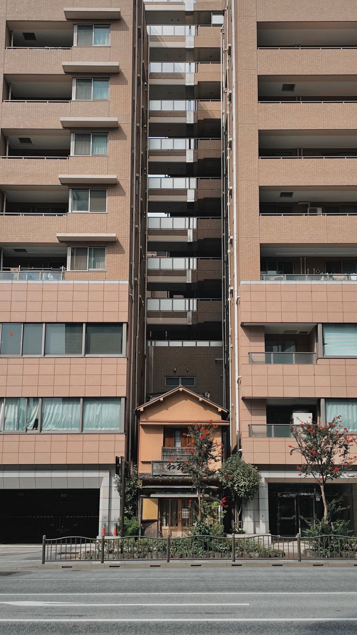 Old and squeezed Tokyo houses