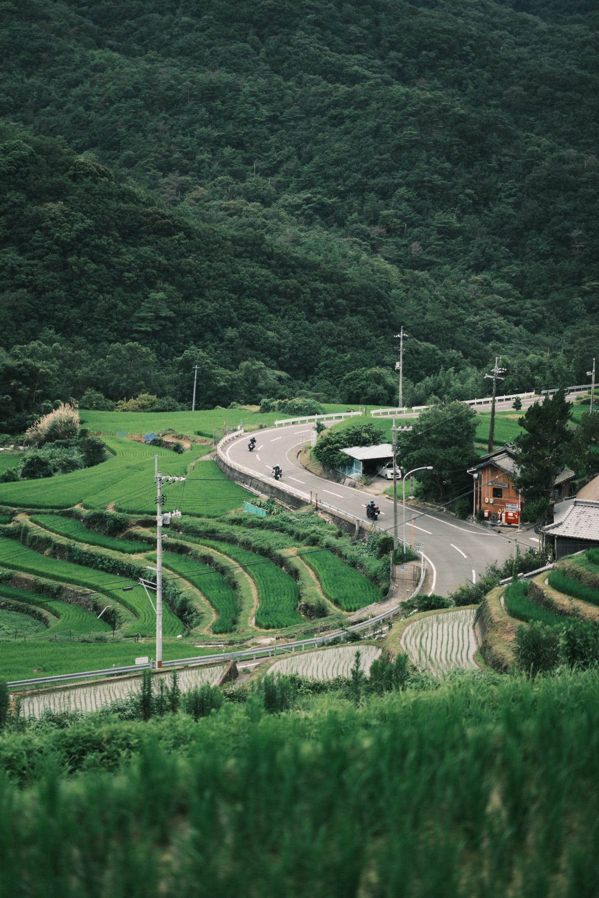 Shōdoshima